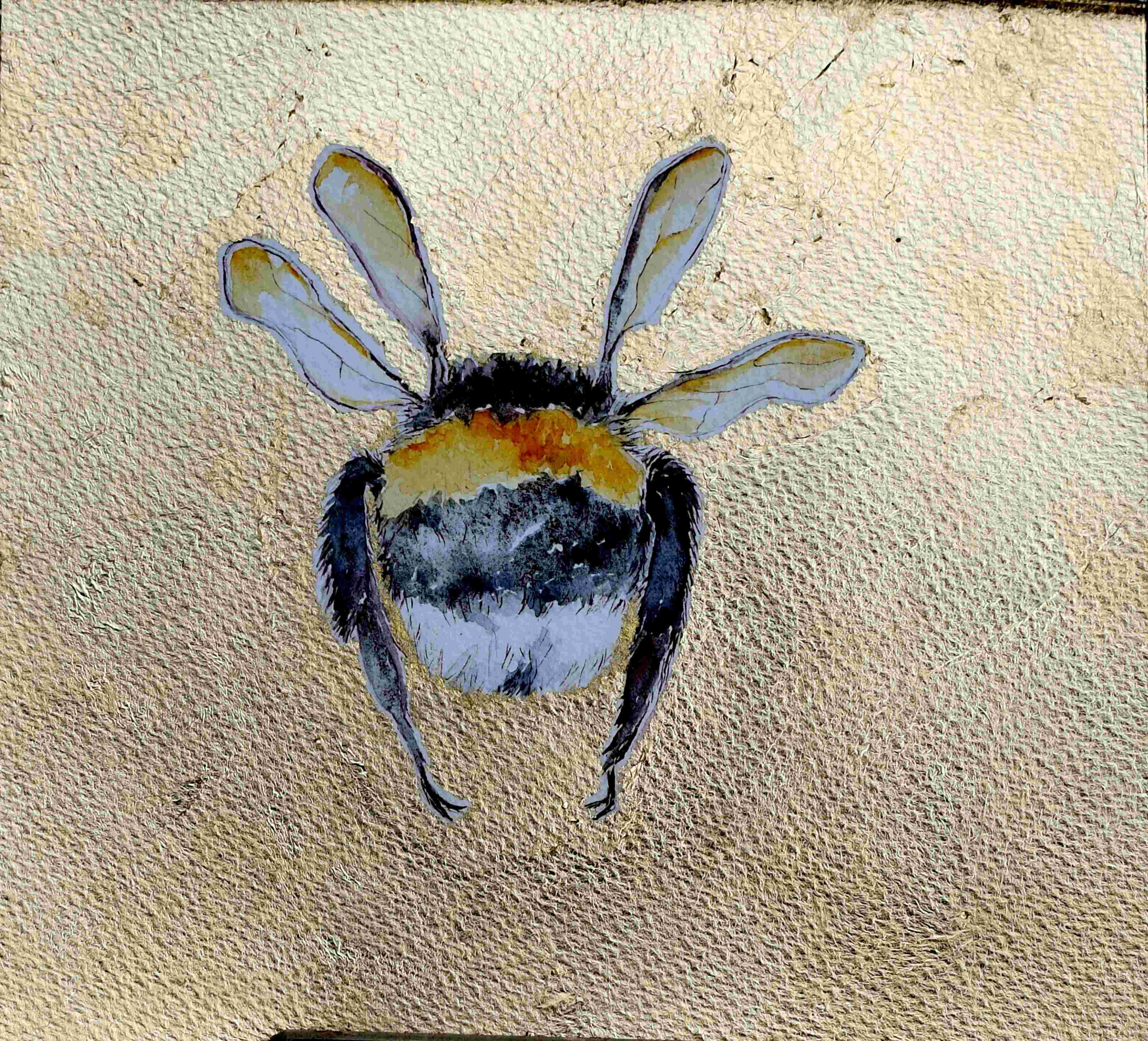 Bee Watercolour with gold leaf background