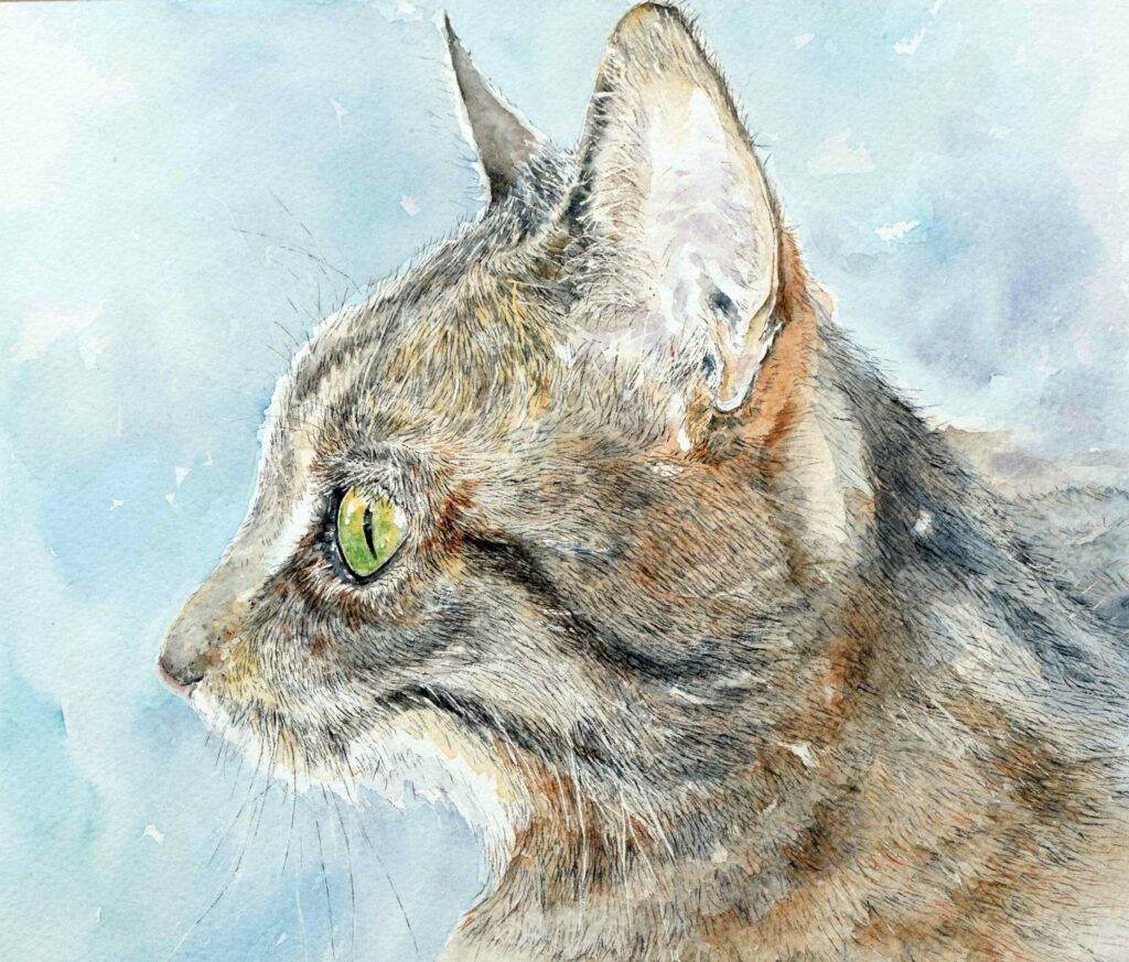 Watercolour Cat Fur detail